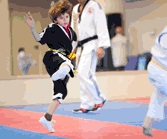 Martial Arts Schools