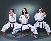 Martial Arts Schools